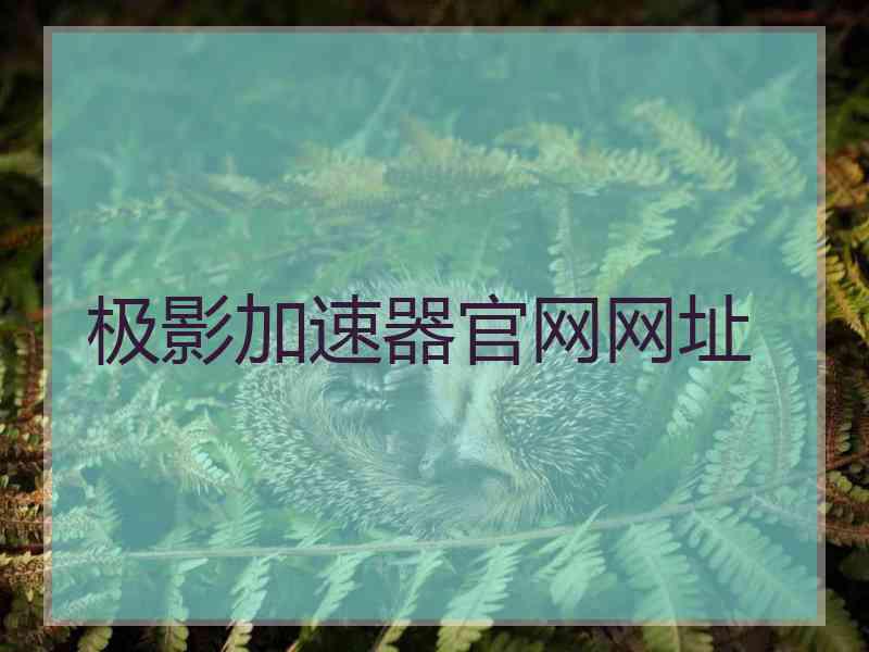 极影加速器官网网址