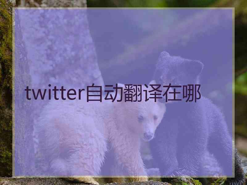 twitter自动翻译在哪