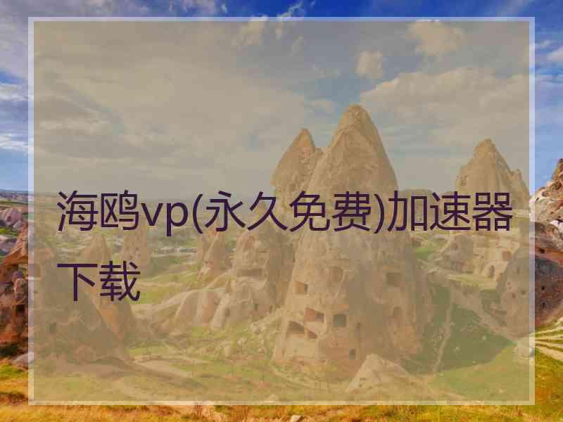 海鸥vp(永久免费)加速器下载