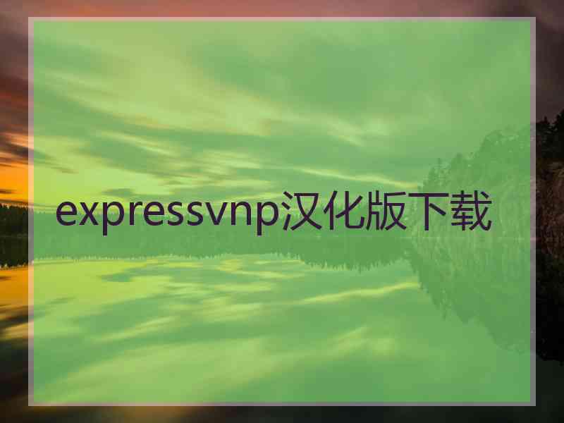 expressvnp汉化版下载