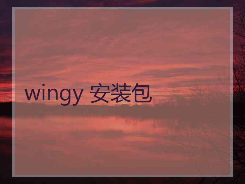 wingy 安装包