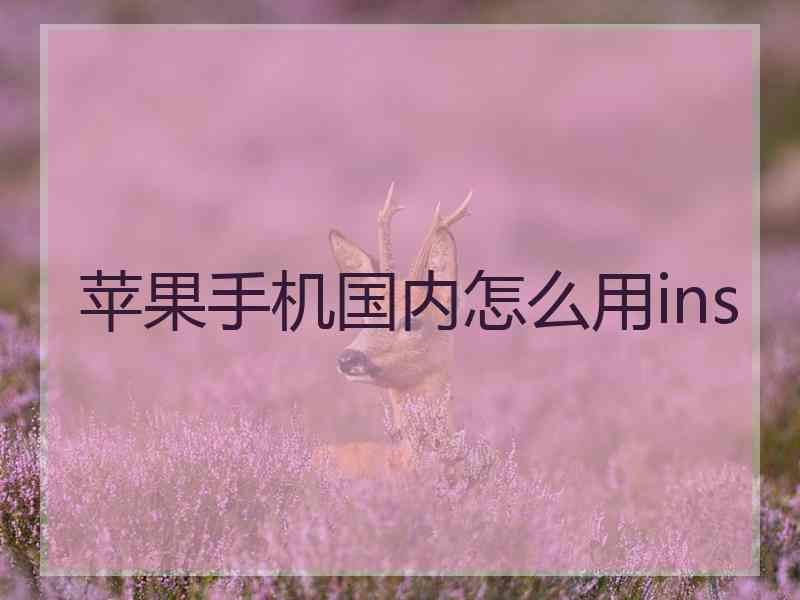 苹果手机国内怎么用ins