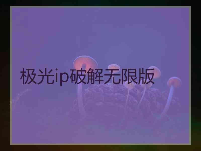 极光ip破解无限版