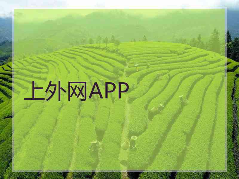 上外网APP