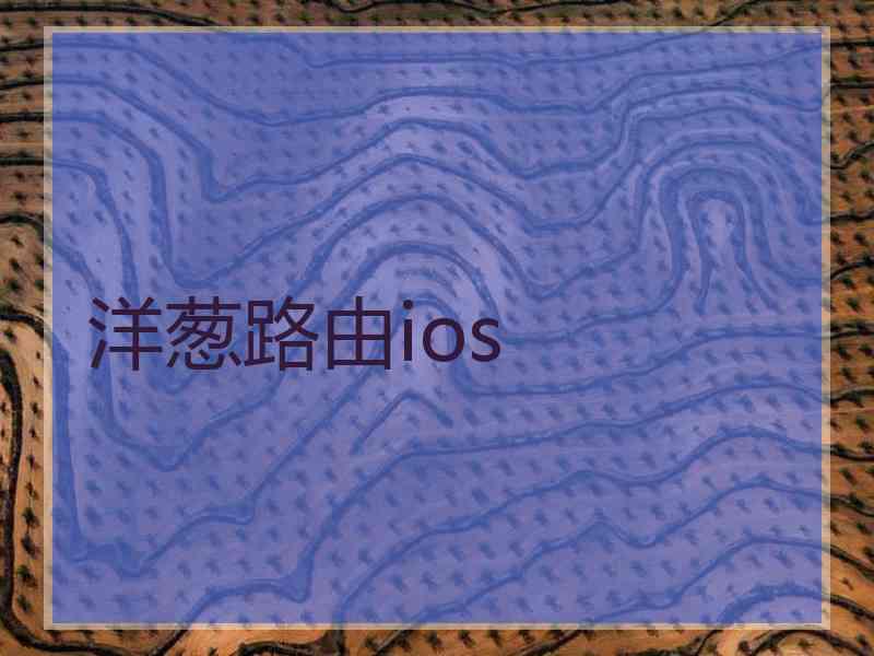 洋葱路由ios