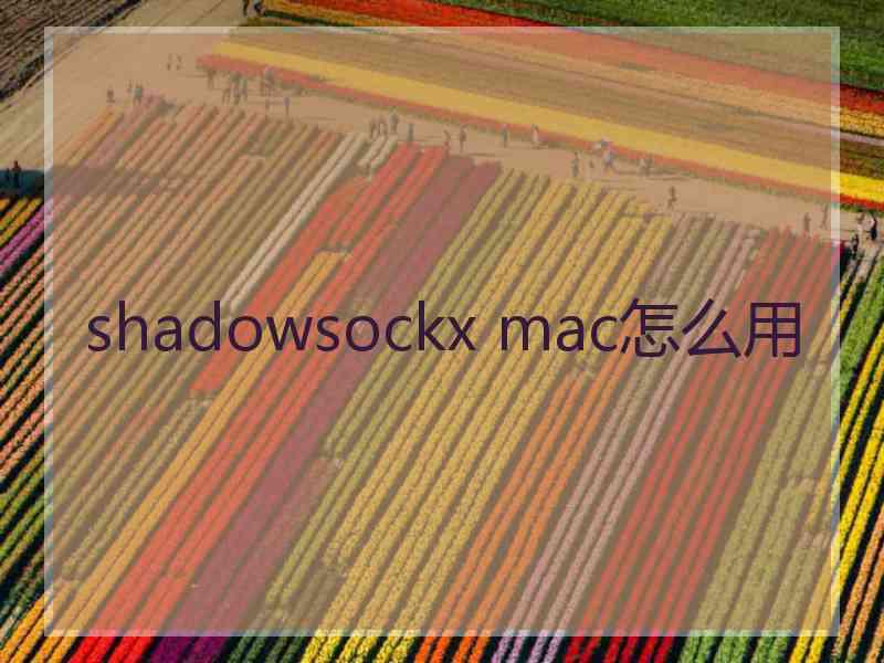 shadowsockx mac怎么用