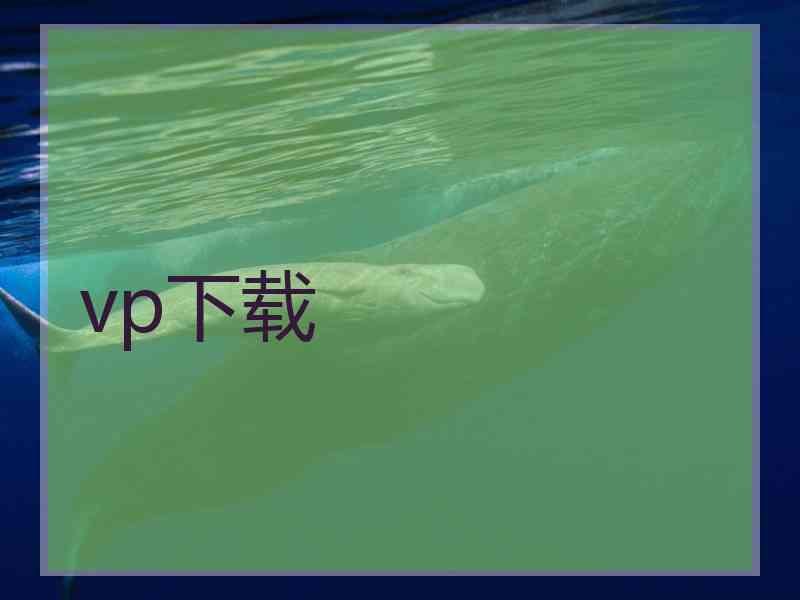 vp下载