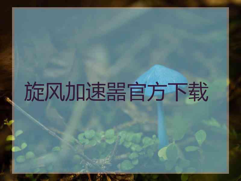 旋风加速噐官方下载