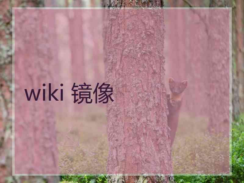 wiki 镜像