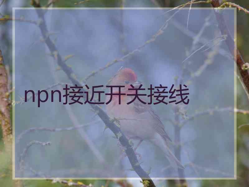 npn接近开关接线