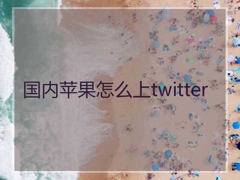 国内苹果怎么上twitter