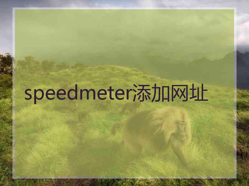 speedmeter添加网址