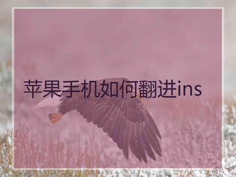 苹果手机如何翻进ins