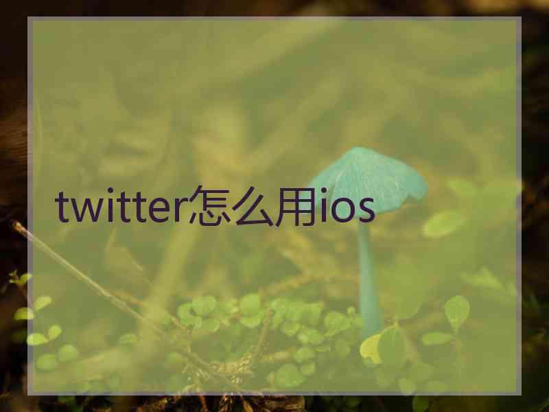 twitter怎么用ios