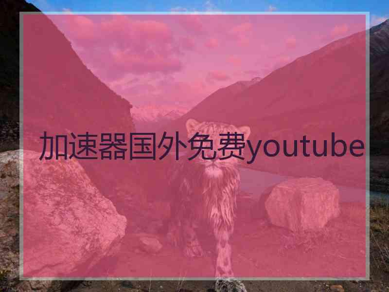 加速器国外免费youtube