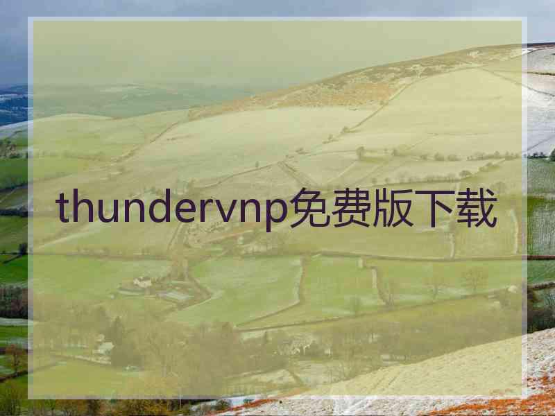 thundervnp免费版下载