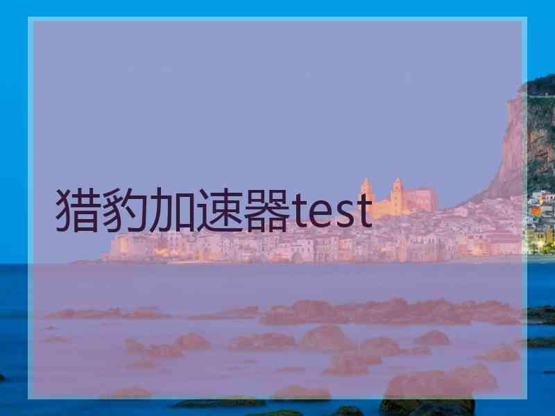 猎豹加速器test