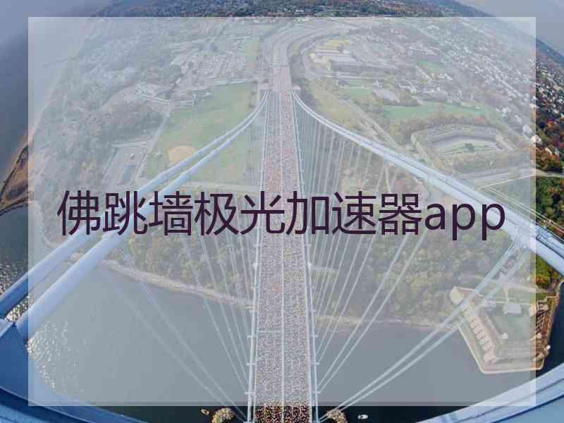 佛跳墙极光加速器app