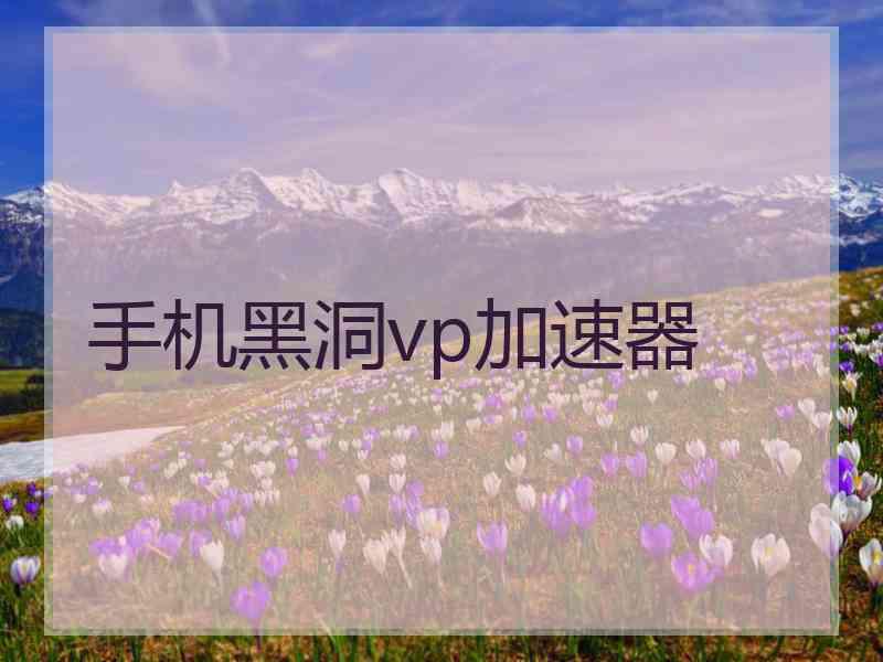 手机黑洞vp加速器