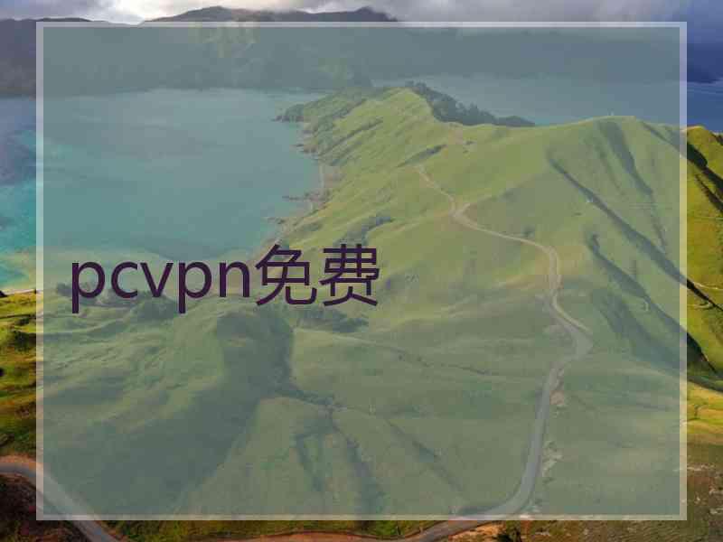 pcvpn免费