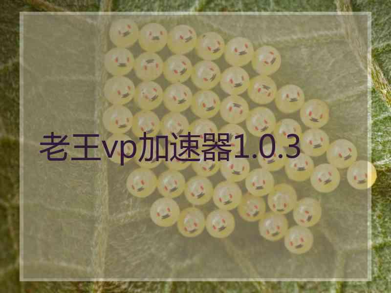 老王vp加速器1.0.3