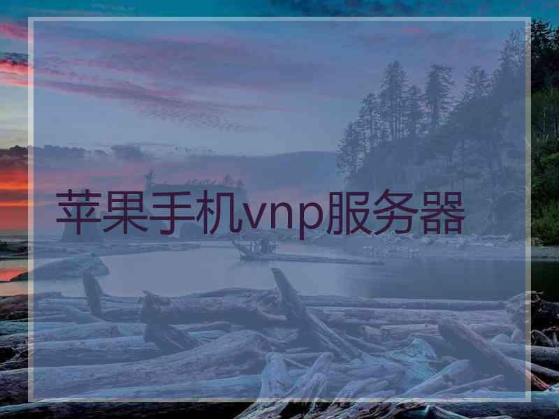 苹果手机vnp服务器