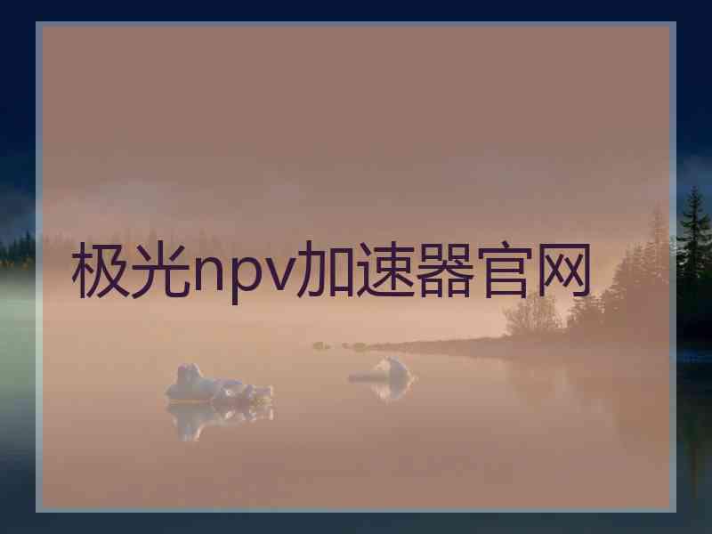 极光npv加速器官网