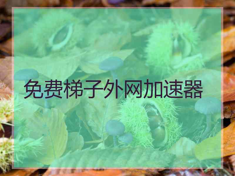 免费梯子外网加速器