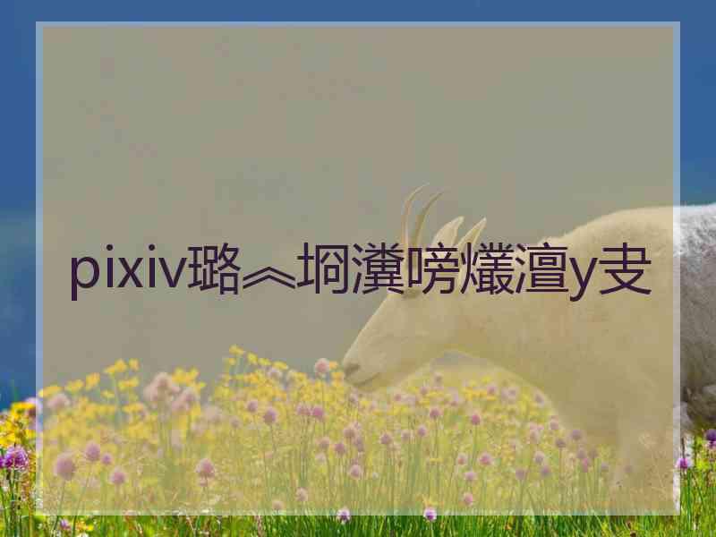 pixiv璐︽埛瀵嗙爜澶у叏