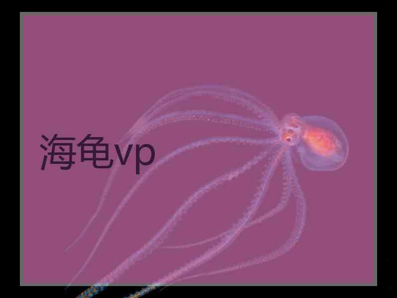 海龟vp