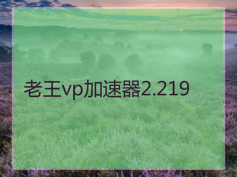 老王vp加速器2.219