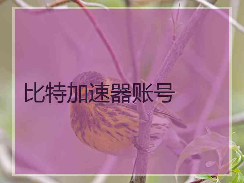 比特加速器账号