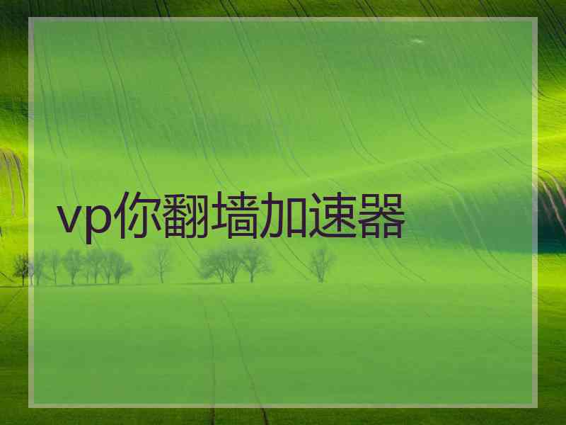 vp你翻墙加速器