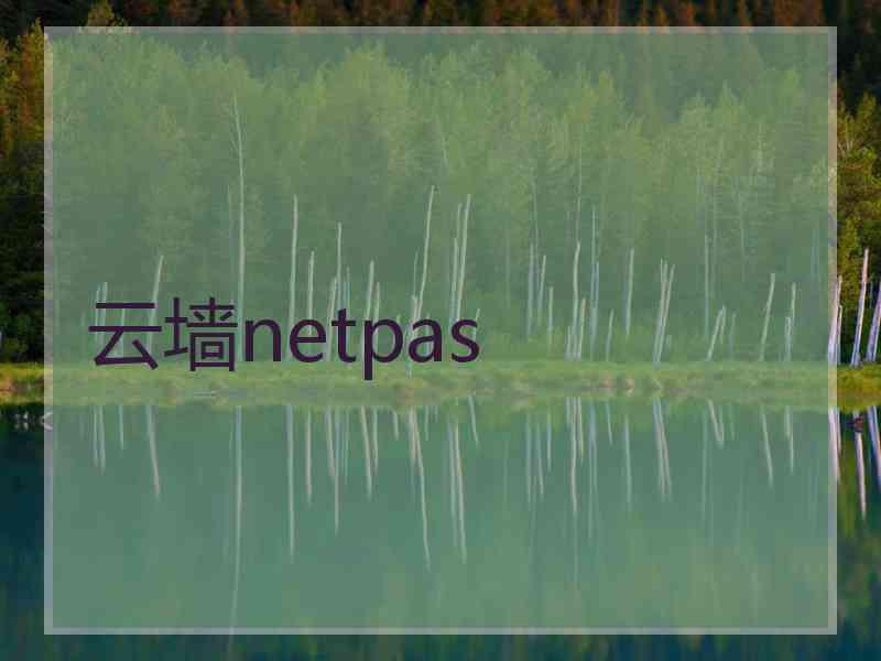 云墙netpas