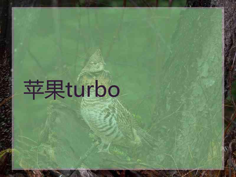 苹果turbo