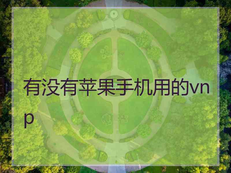 有没有苹果手机用的vnp