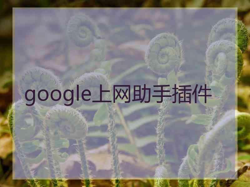 google上网助手插件