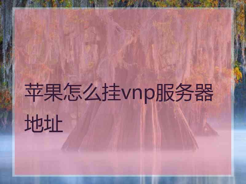 苹果怎么挂vnp服务器地址