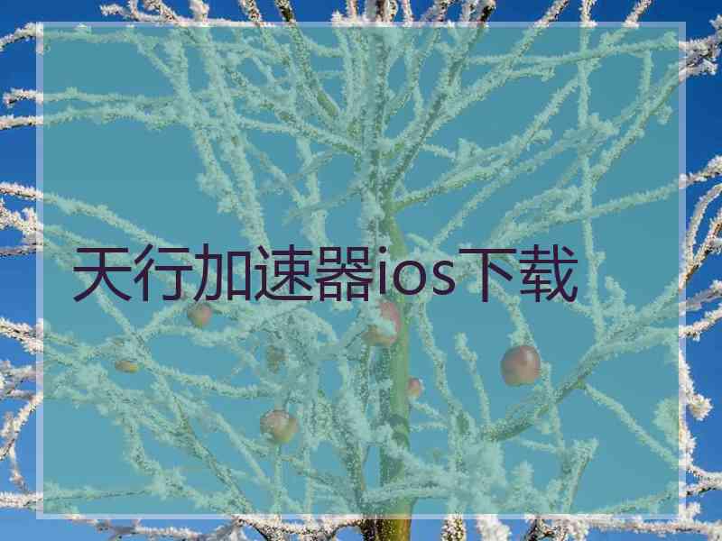 天行加速器ios下载