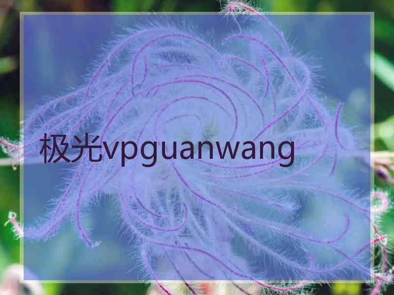 极光vpguanwang