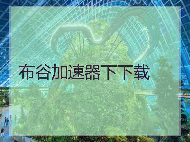 布谷加速器下下载