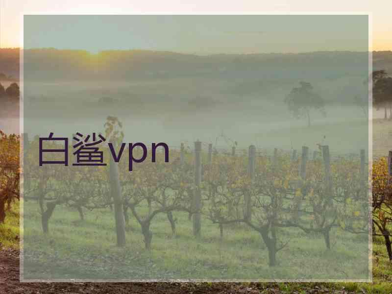 白鲨vpn