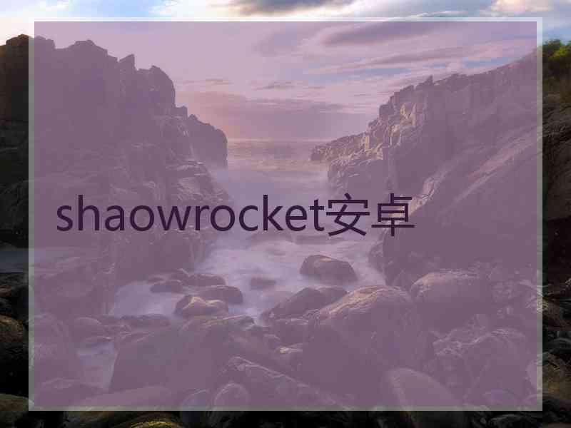 shaowrocket安卓