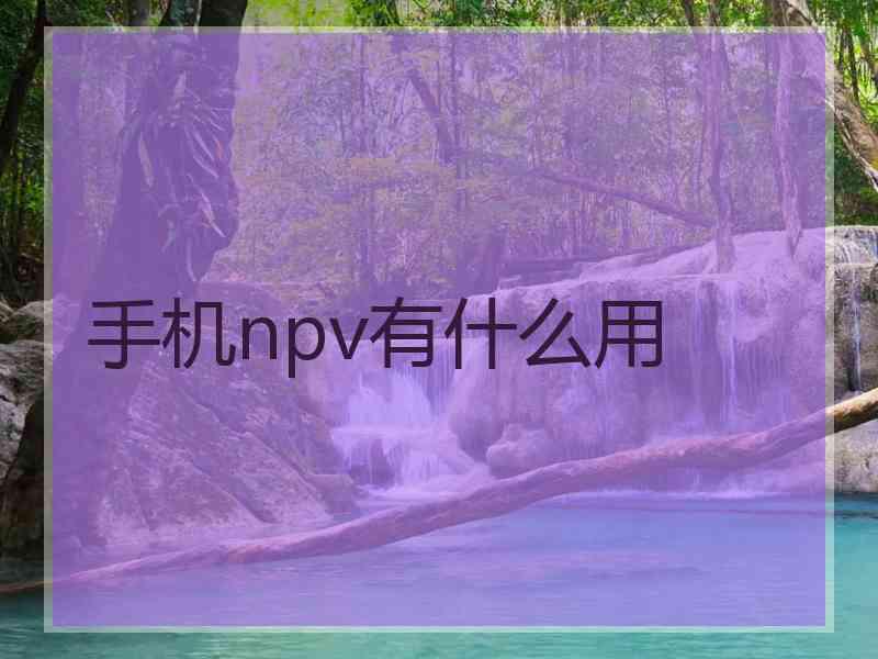 手机npv有什么用