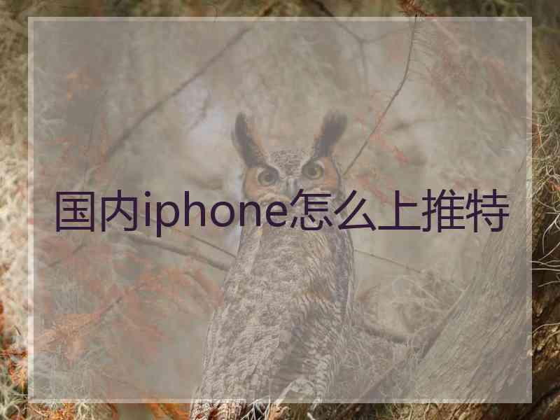 国内iphone怎么上推特