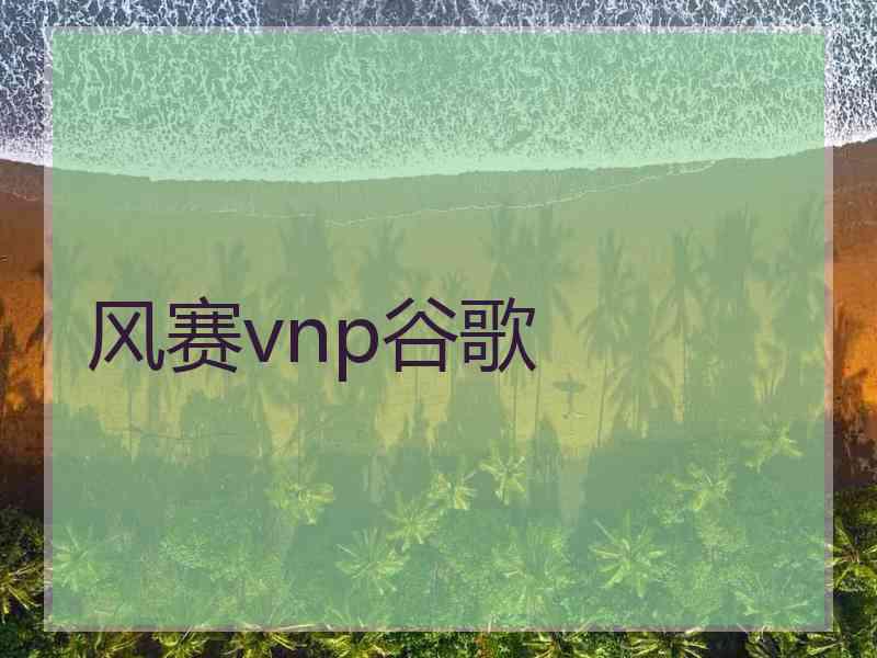 风赛vnp谷歌