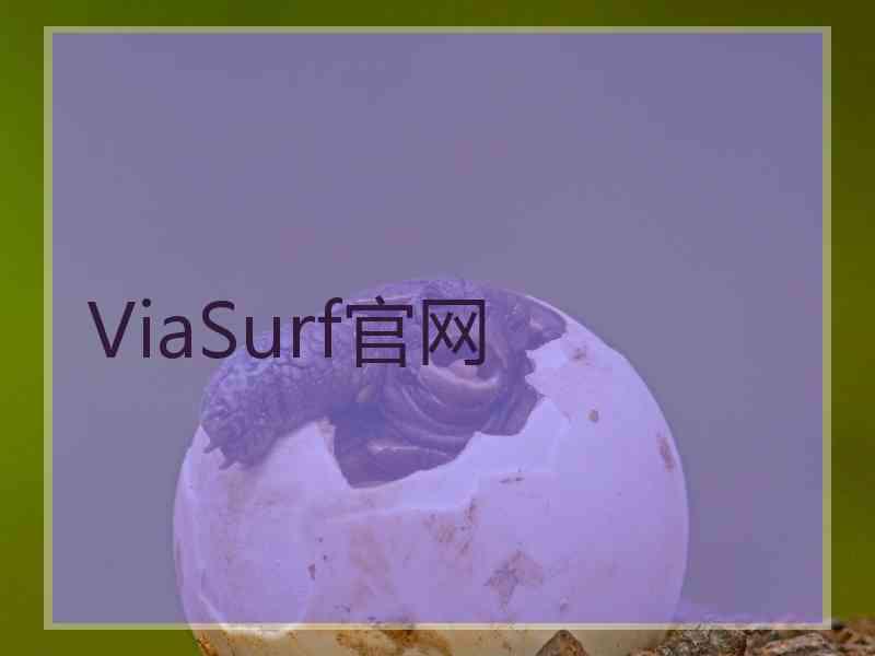 ViaSurf官网