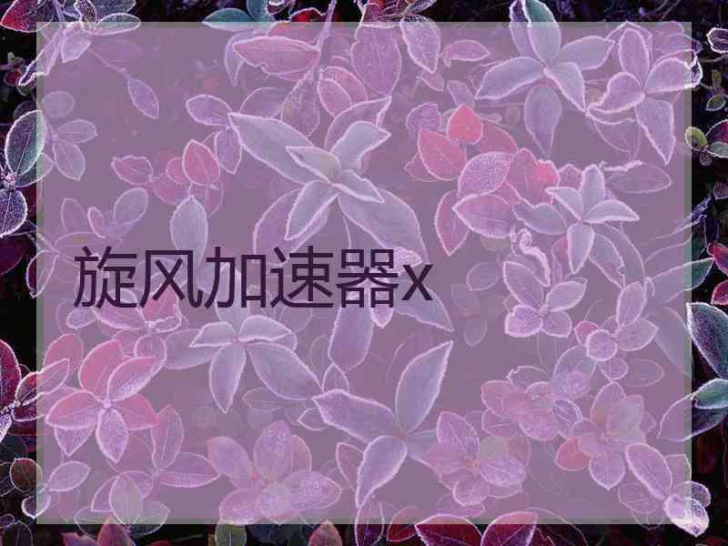 旋风加速器x