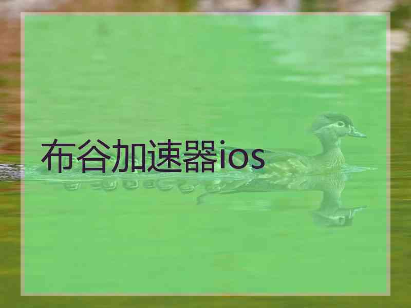 布谷加速器ios