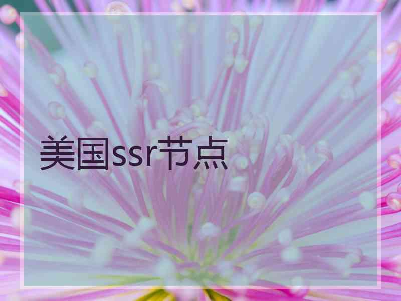 美国ssr节点